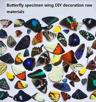 Gerçek kelebek numune kanatları rastgele teslimat DIY takı el sanatları ev dekorasyon malzemeleri reçine takılar